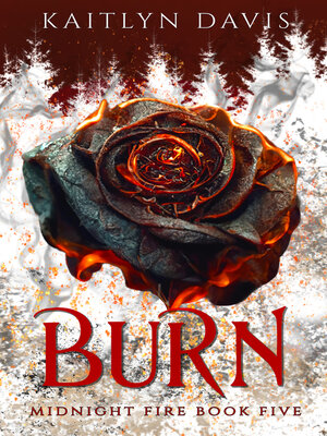 cover image of Burn (Midnight Fire Series Book Five)
